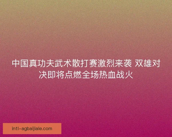中国真功夫武术散打赛激烈来袭 双雄对决即将点燃全场热血战火